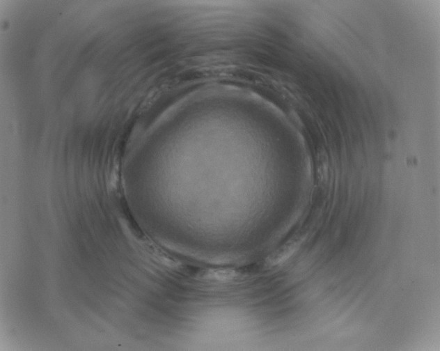 X0000071850767200607211852