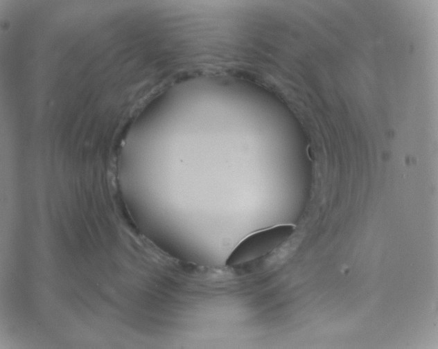 X0000071850768200607211852