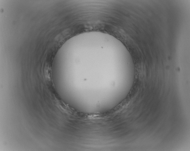 X0000071850770200607211851