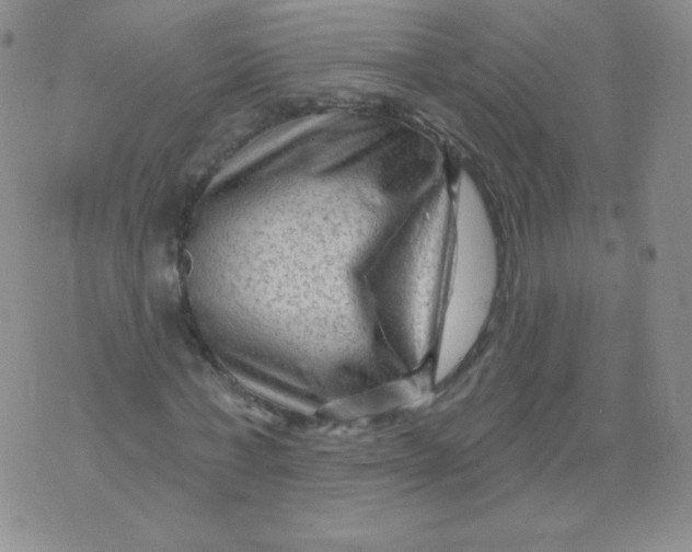 X0000071850771200607211851