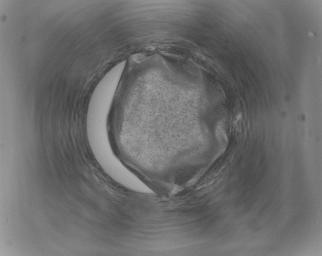 X0000071850772200607211851