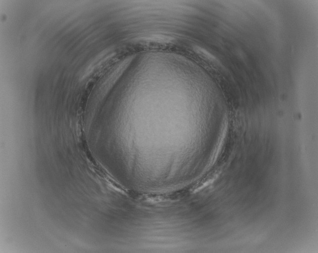 X0000071850774200607211851