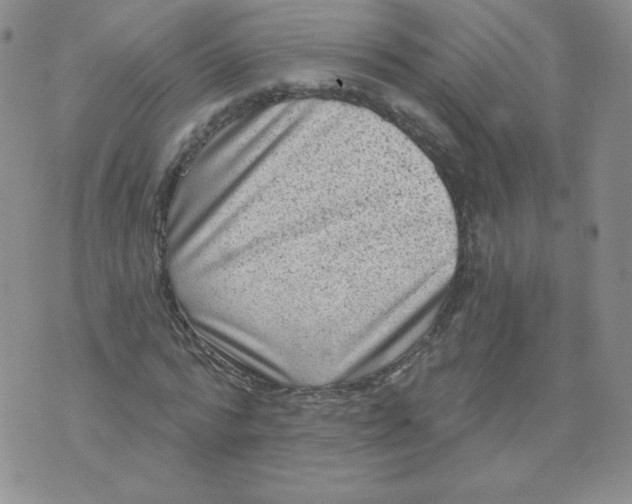 X0000071850776200607211851