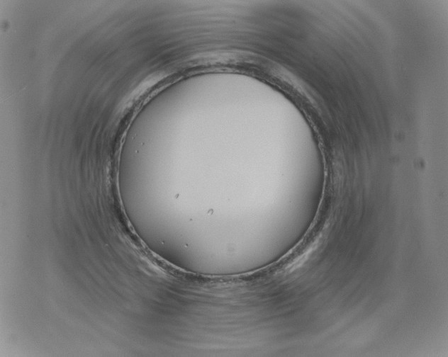 X0000071850778200607211851