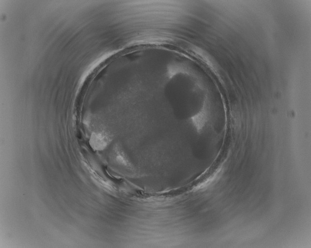 X0000071850779200607211851