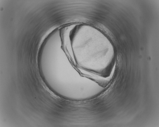 X0000071850780200607211851