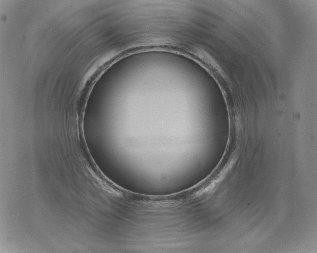 X0000071850781200607211851