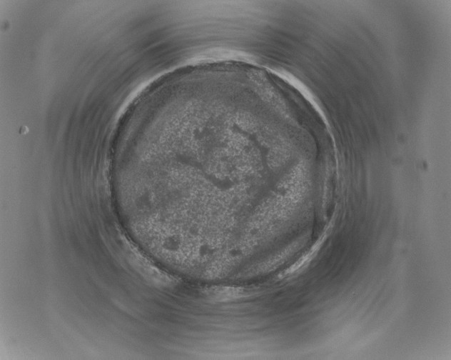 X0000071850783200607211851