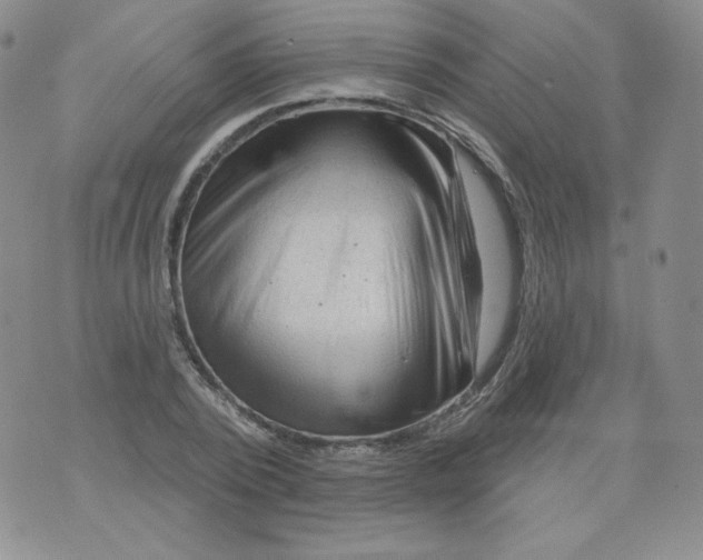 X0000071850784200607211851