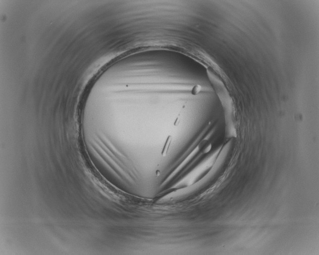 X0000071850787200607211851