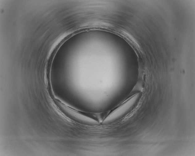 X0000071850788200607211851