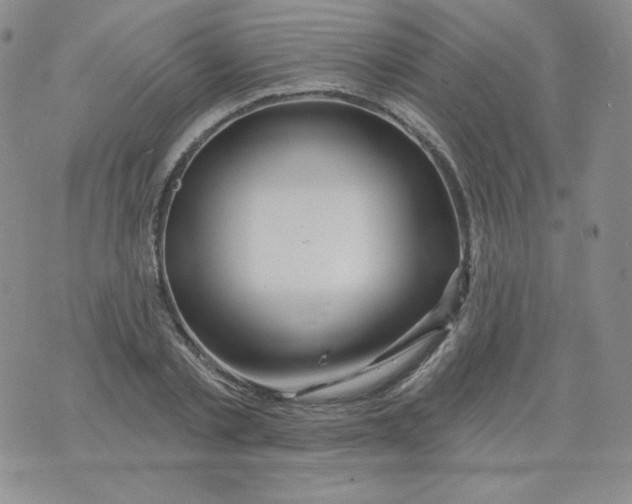 X0000071850789200607211851