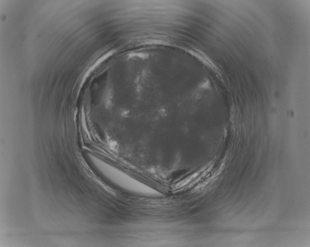 X0000071850790200607211851