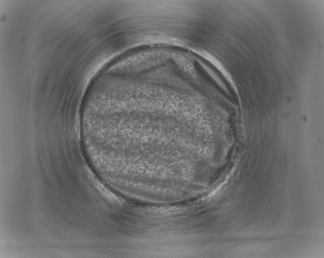 X0000071850791200607211851