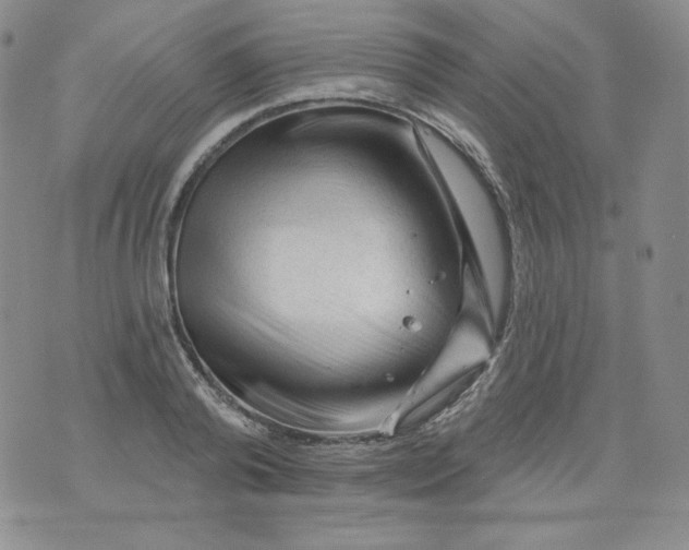 X0000071850792200607211851