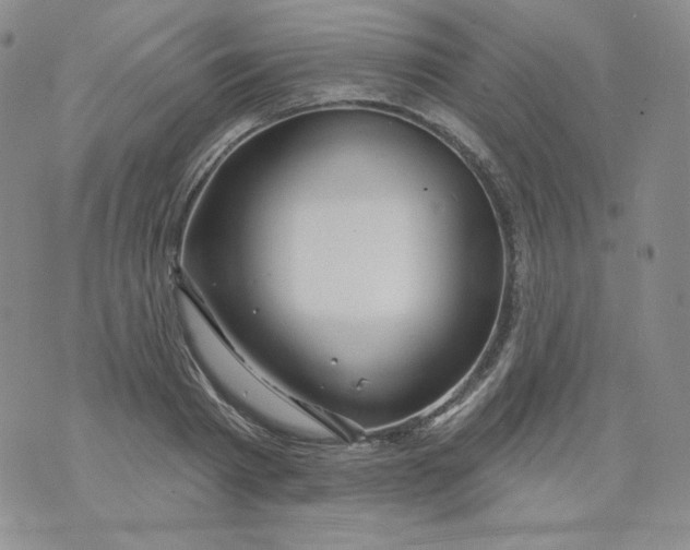 X0000071850793200607211851