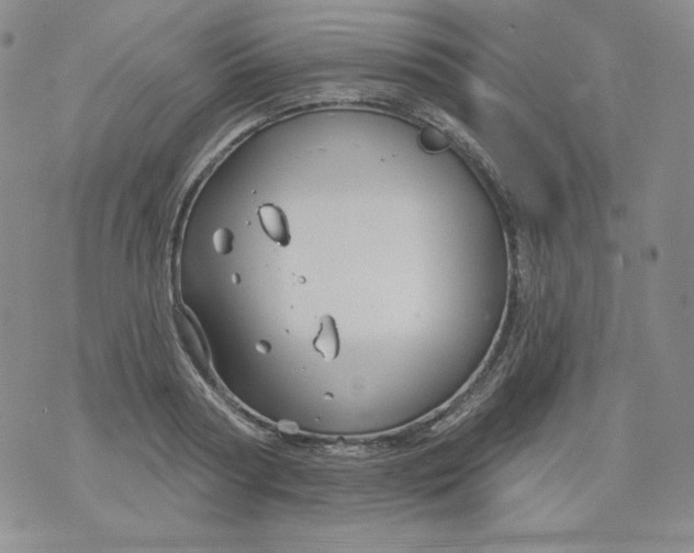 X0000071850794200607211851