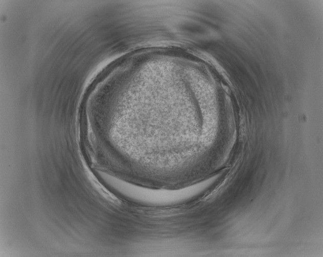 X0000071850795200607211851