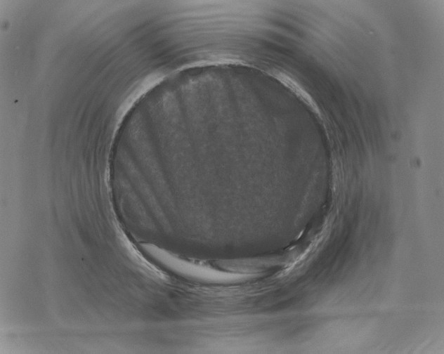 X0000071850797200607211851