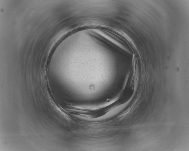 X0000071850799200607211851