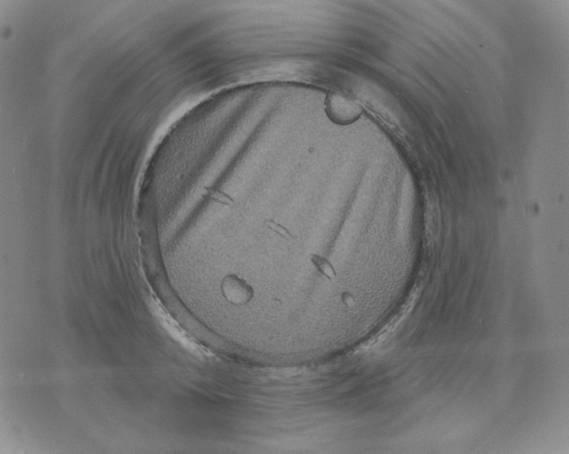 X0000071850800200607211851