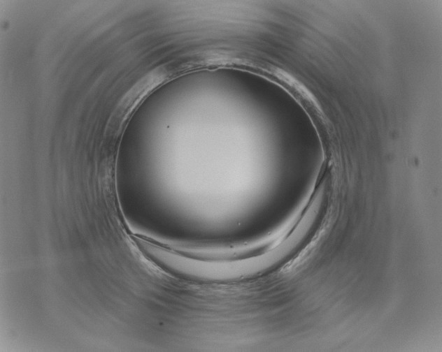 X0000071850801200607211851