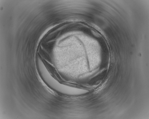 X0000071850803200607211851