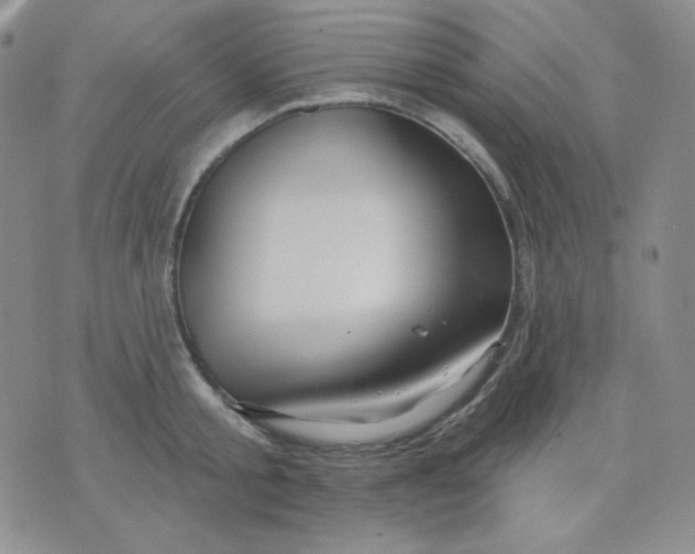 X0000071850805200607211851