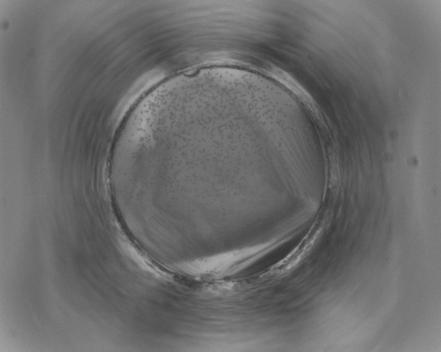 X0000071850806200607211851