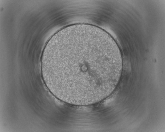 X0000071850807200607211851