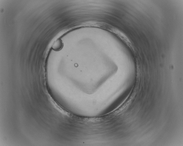 X0000071850808200607211851