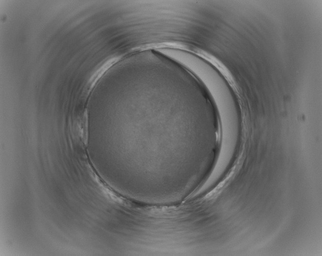 X0000071850809200607211851