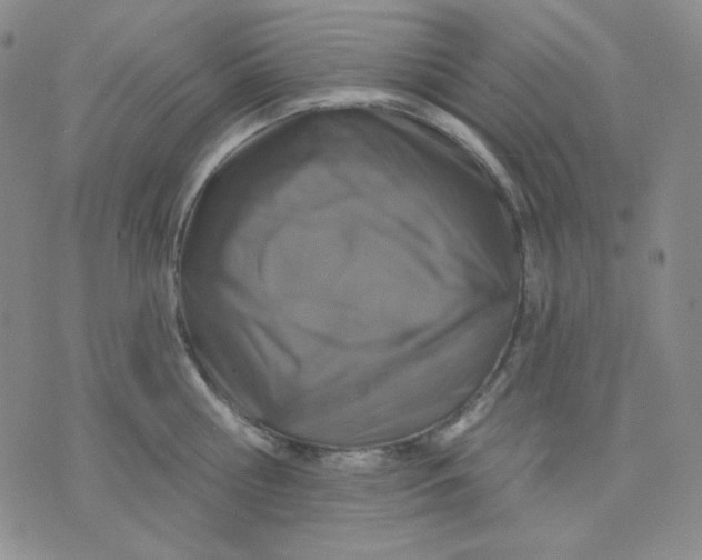 X0000071850810200607211851