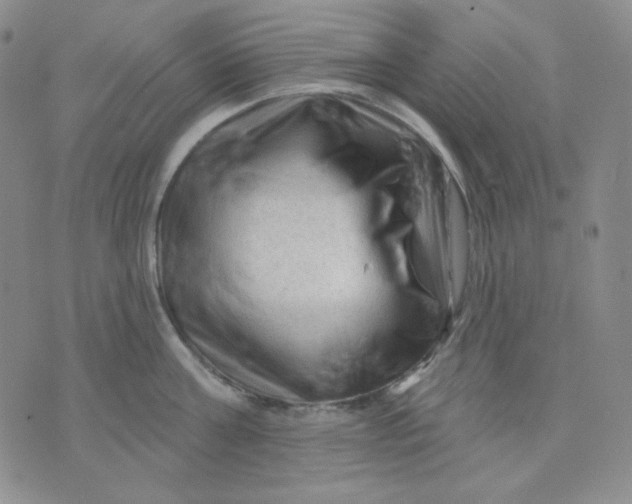 X0000071850811200607211851