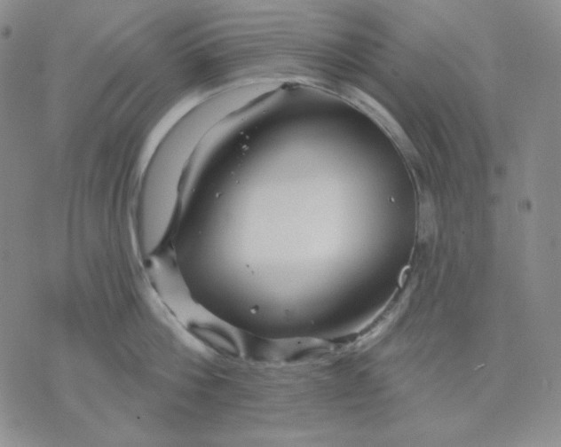 X0000071850812200607211851