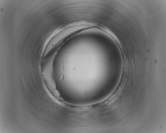 X0000071850813200607211851