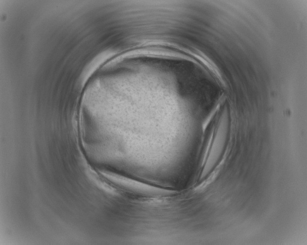 X0000071850814200607211851