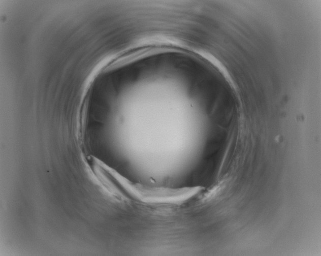 X0000071850815200607211851