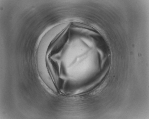 X0000071850816200607211850