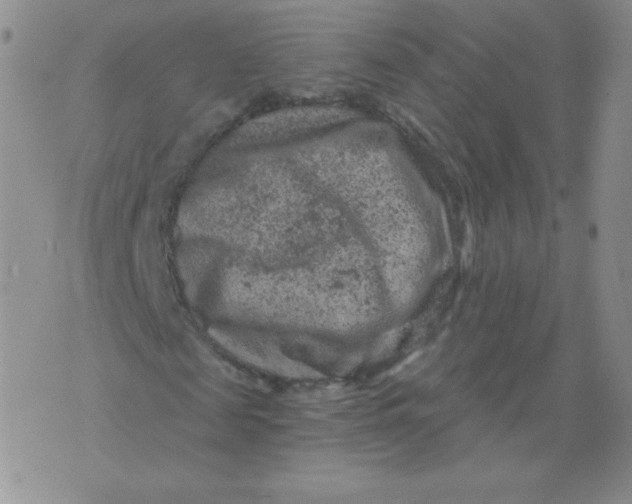 X0000071850817200607211850