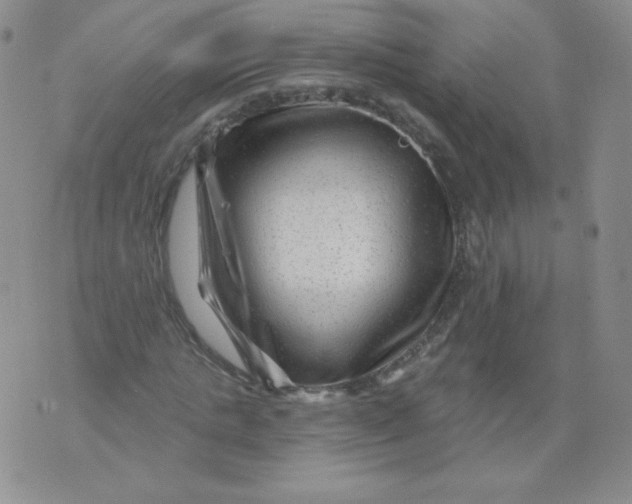 X0000071850821200607211850