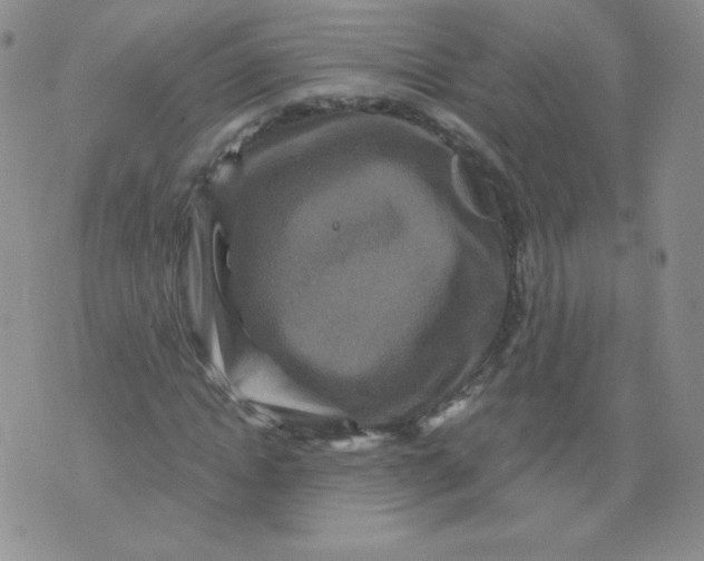 X0000071850822200607211850