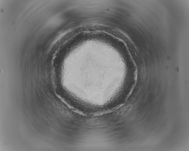 X0000071850823200607211850