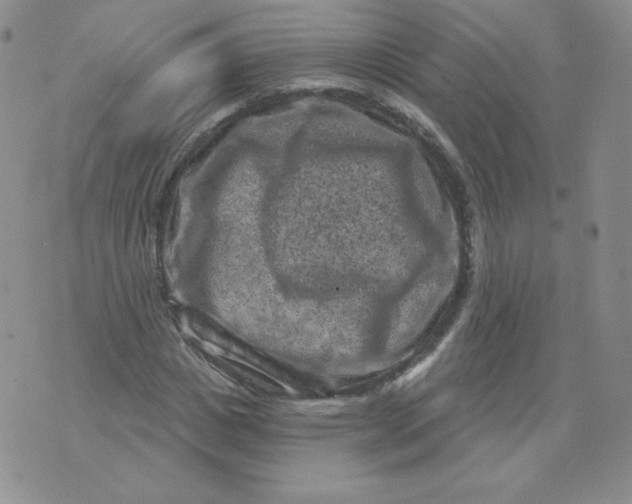 X0000071850825200607211850