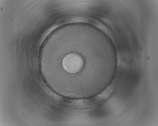 X0000071850828200607211850