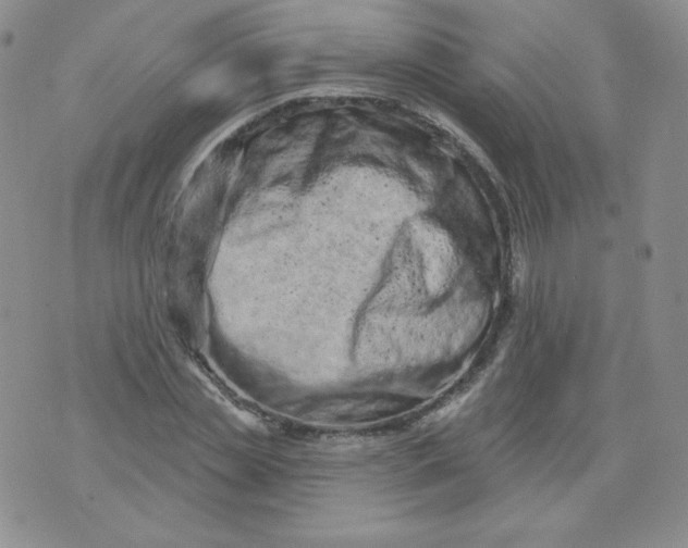 X0000071850829200607211850