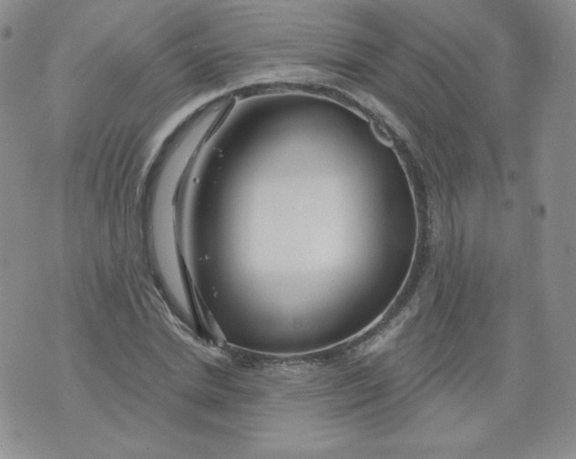 X0000071850830200607211850