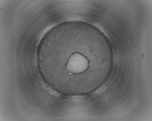 X0000071850832200607211850