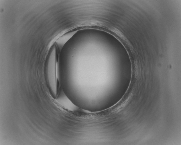 X0000071850834200607211850