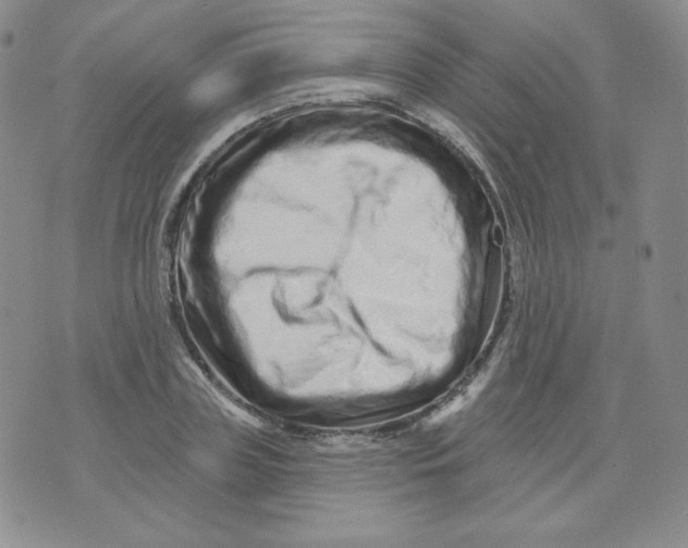 X0000071850835200607211850